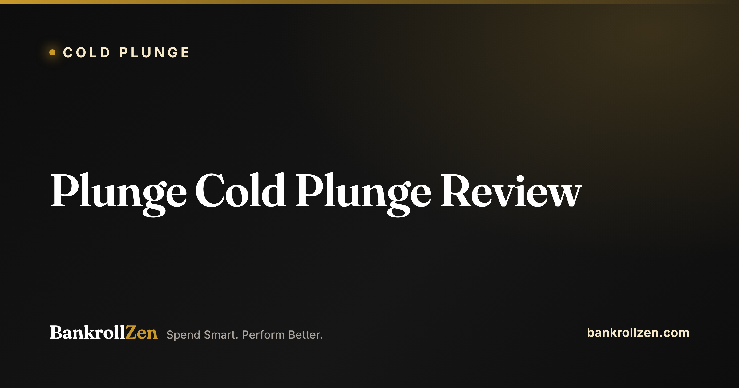 Plunge Cold Plunge Review: Is It Worth ~$6,000?