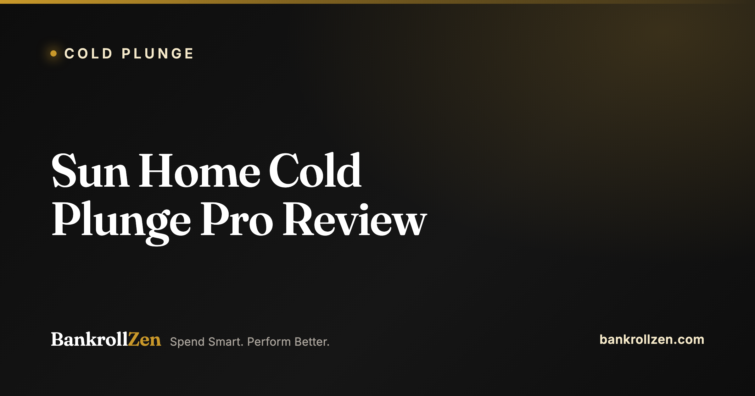 Sun Home Cold Plunge Pro Review: Is $14,000 Worth It?